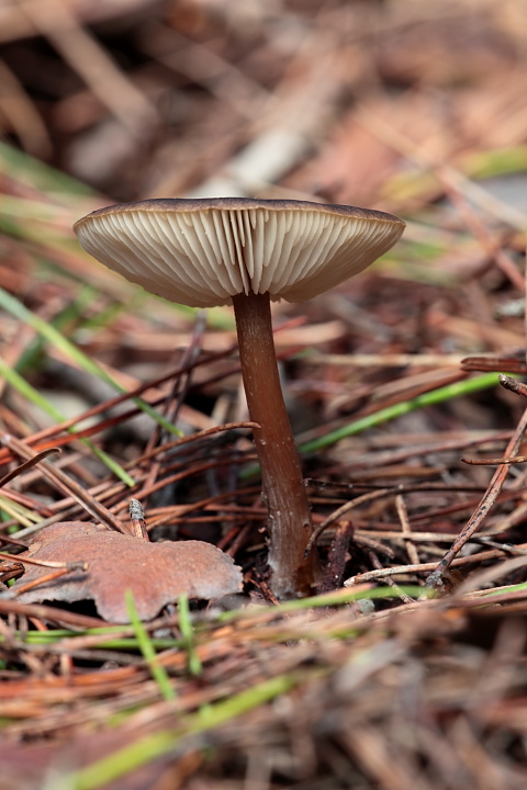 Ritrovamenti di oggi